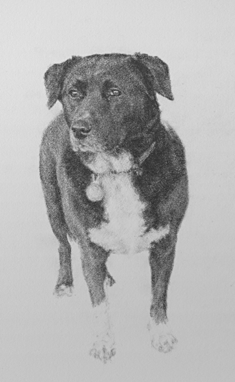 Self-Portrait