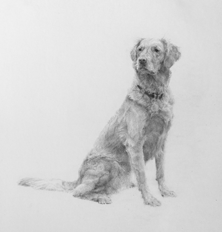 Self-Portrait